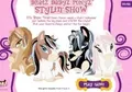 Bratz Babyz Ponyz - Stylin Show